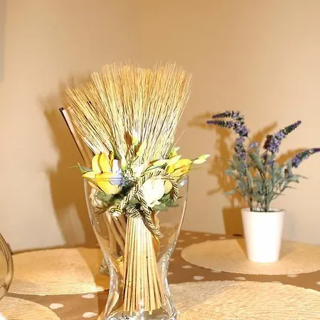 Casa Vistosa Apartment